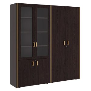 Шкаф для бумаг с гардеробом 195x42x206