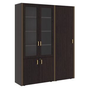 Шкаф для бумаг с одностворчатым гардеробом 165x42x206